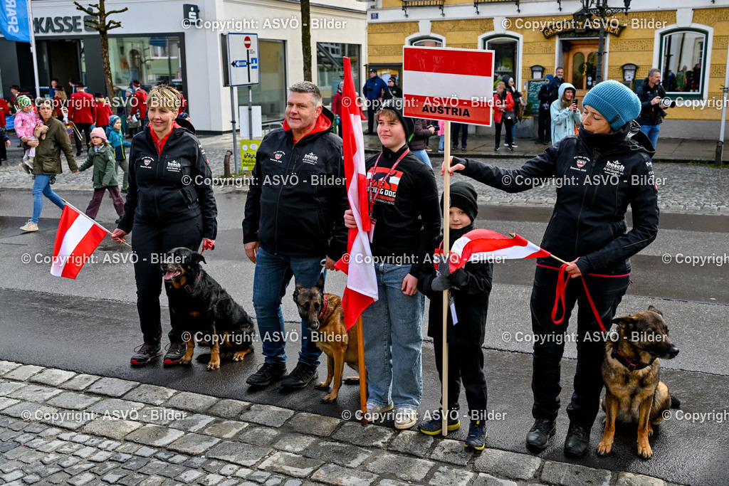 ASVÖ_ Tracking Dog World Championship 2025_ 31.03.2025-222 | 31.03.2025, AUT, ASVÖ, Tracking Dog World Championship // FCI IGP Fährtenhundeweltmeisterschaft 2025©fodo.media / Harald Dostal - Realisiert mit Pictrs.com