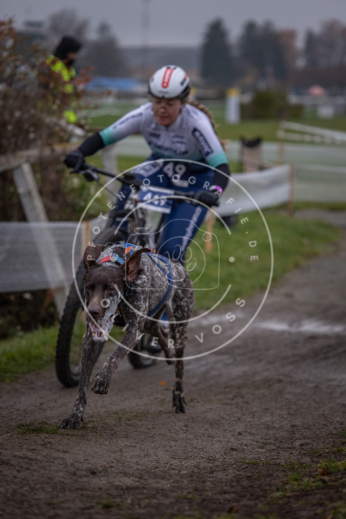 CaniXpix_0L8A1512 | Hundefotografie, Tierfotograf, Pfotenfotografie, Fotoshooting Hund, Hunde Portrait, Hundesport, Hundeportraits, Heideshooting, Hunde, Sportfotograf, Hundefotograf, Turnierhundsport, THS,  - Realisiert mit Pictrs.com