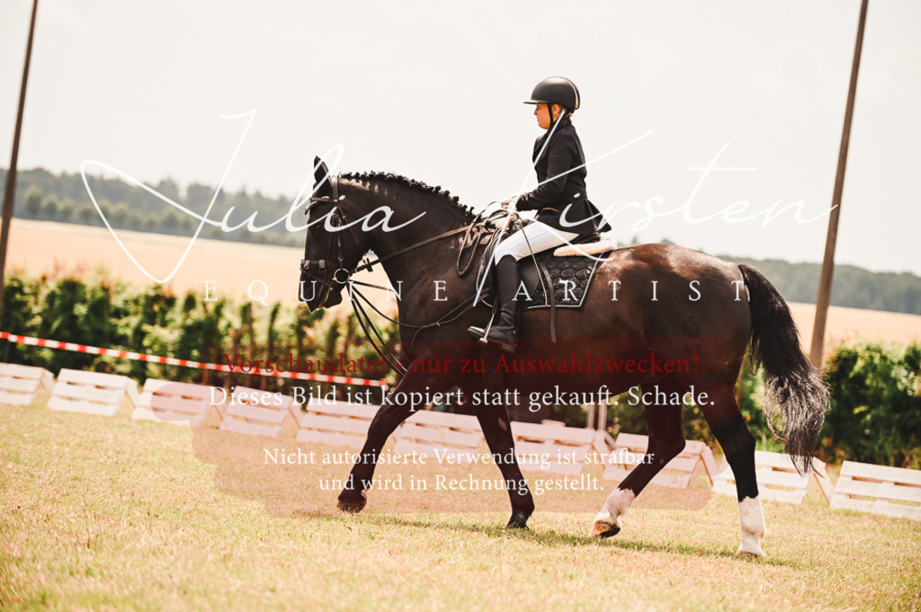 DSC_6307 | Pferde- und Turnierfotografie in Westsachsen. Pferdeportraits, Auftragszeichnungen und intuitive Kunst.