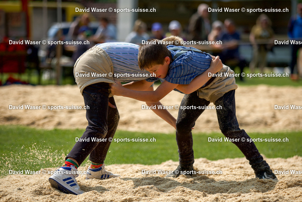 Leuenberger Achille (2015) - Perrin Rafael (2014) _ la 17. Schwingertag Laupen Laupen_ 09.06.2025 (4) | Leuenberger Achille (2015) - Perrin Rafael (2014) à la 17. Schwingertag Laupen Laupen, 09.06.2025