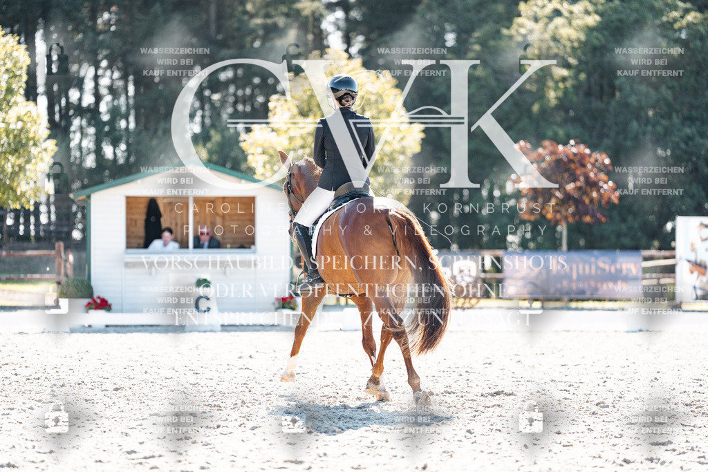 CK906030 | Turnierfotografie Pferdefotografie Trier Rheinland-Pfalz Pferdesport Reitsport Tierfotografie Sportfotografie Pferdevideo Pferdevideografie Equestrianvideography equestrianphotography  - Realisiert mit Pictrs.com