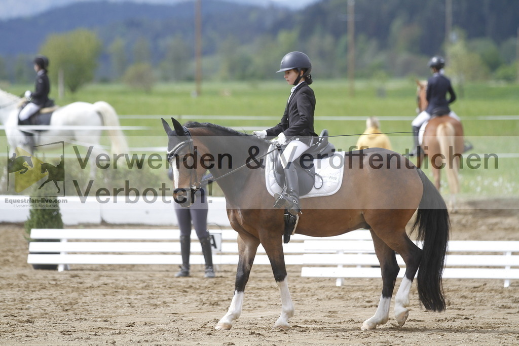 _MG_2964 | equestrian-live-com