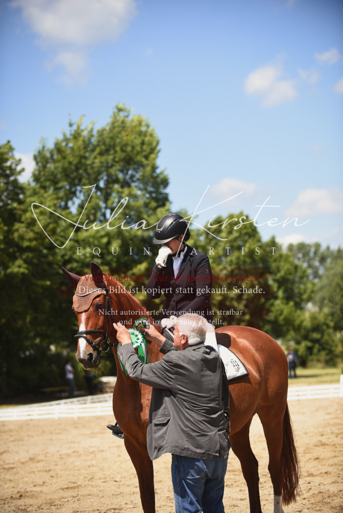 DSC_1604 | Pferde- und Turnierfotografie in Westsachsen. Pferdeportraits, Auftragszeichnungen und intuitive Kunst.
