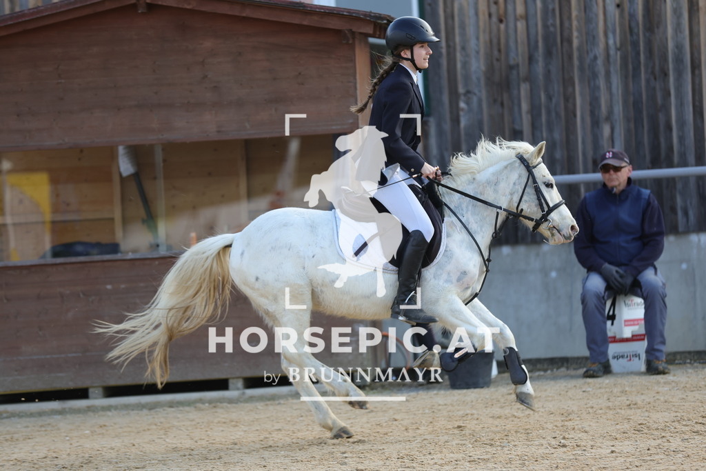 0P6A9024 | Willkommen bei Brunnmayr - Design & Fotografie – Ihrem Spezialisten für Reitturniere und Pferdeveranstaltungen in Oberösterreich, Salzburg und Bayern! Seit über 17 Jahren sind wir leidenschaftlich dabei.