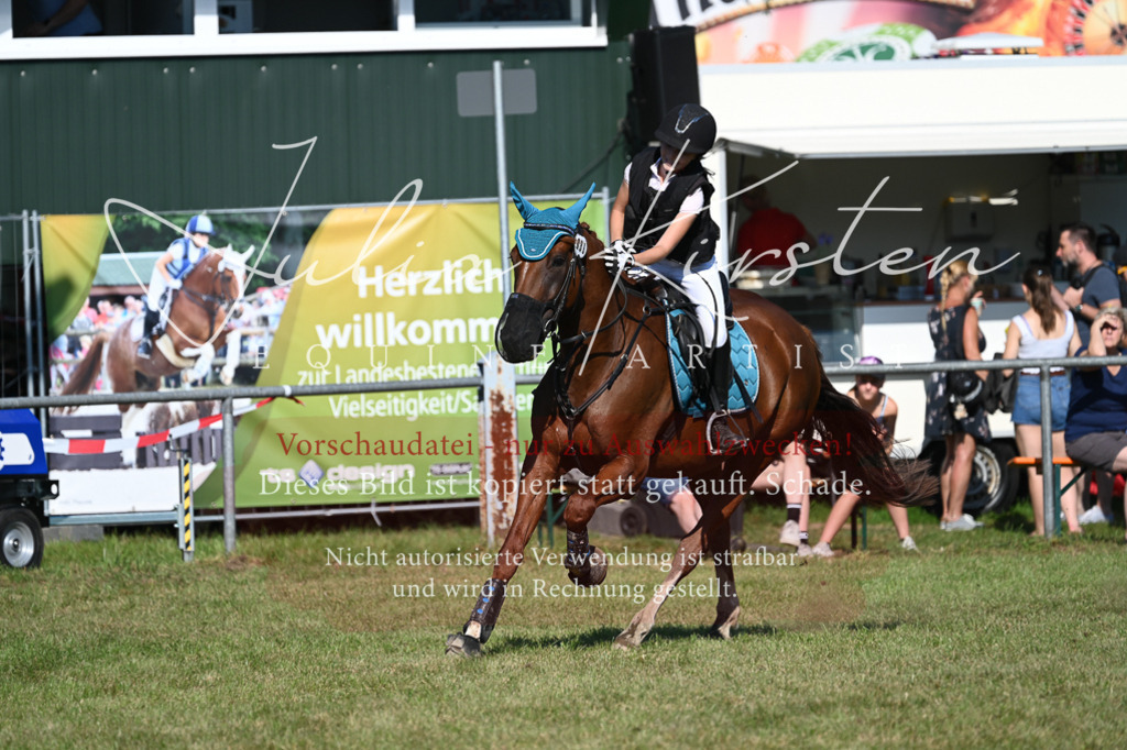 DSC_5332 | Pferde- und Turnierfotografie in Westsachsen. Pferdeportraits, Auftragszeichnungen und intuitive Kunst.