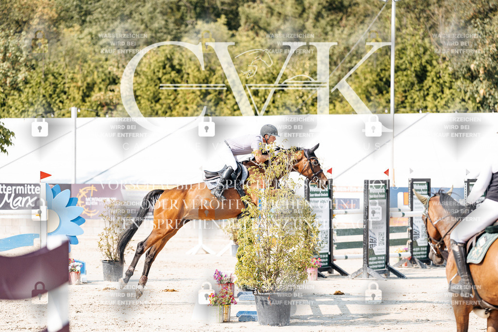 CK902484 | Turnierfotografie Pferdefotografie Trier Rheinland-Pfalz Pferdesport Reitsport Tierfotografie Sportfotografie Pferdevideo Pferdevideografie Equestrianvideography equestrianphotography  - Realisiert mit Pictrs.com