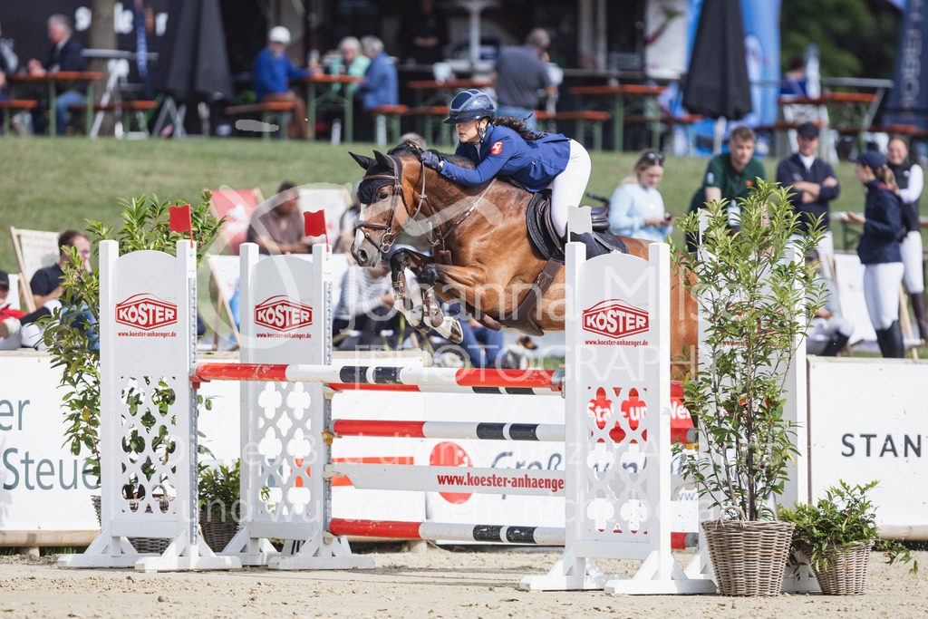 250710_BHO_Stil-L-1-202 | Deine schönsten Turniermomente als professionelle Fotos! Entdecke hochwertige Pferdesport-Fotografie im Online-Shop. Jetzt Fotos finden & bestellen!
