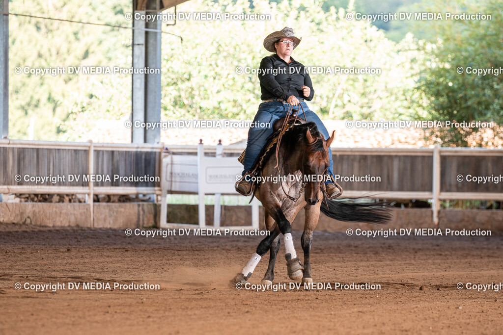 Erbach Tag 2-0993 | dv-media-shop - Realisiert mit Pictrs.com