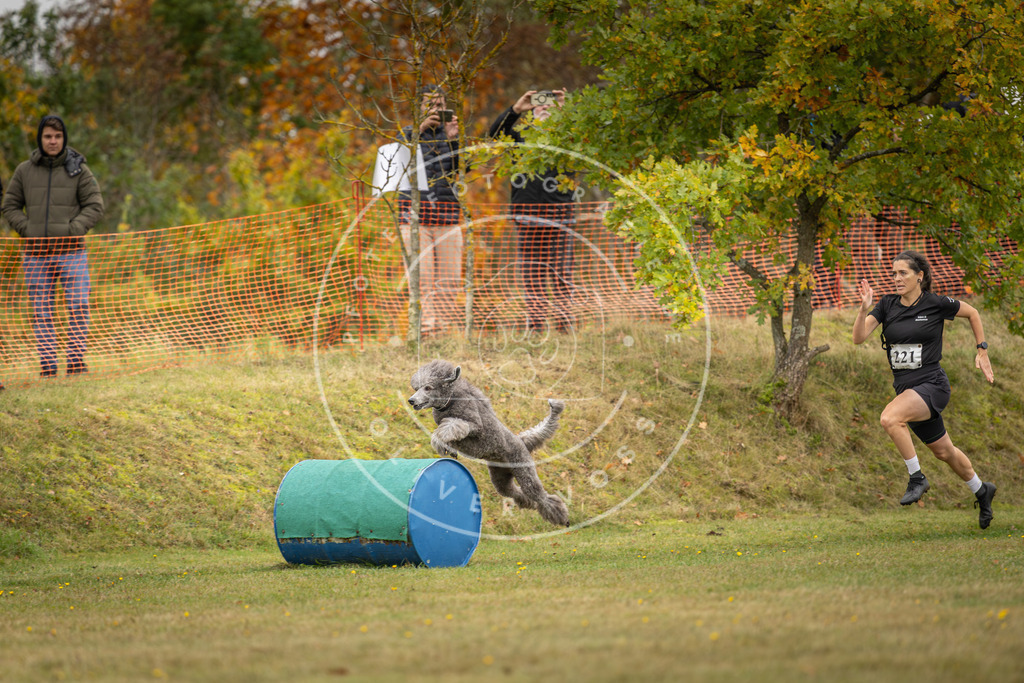 Pfotenfotografie_DV3A4488 | Hundefotografie, Tierfotograf, Pfotenfotografie, Fotoshooting Hund, Hunde Portrait, Hundesport, Hundeportraits, Heideshooting, Hunde, Sportfotograf, Hundefotograf, Turnierhundsport, THS,  - Realisiert mit Pictrs.com