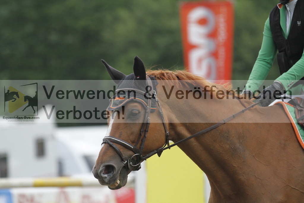 _MG_7167 | equestrian-live-com