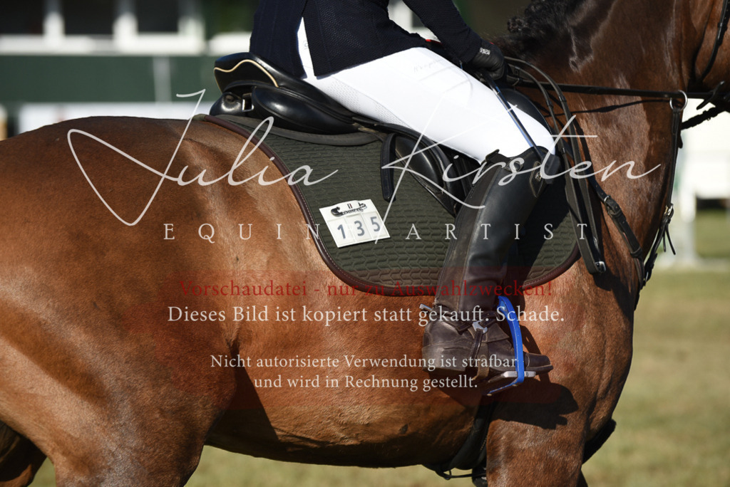 DSC_5098 | Pferde- und Turnierfotografie in Westsachsen. Pferdeportraits, Auftragszeichnungen und intuitive Kunst.