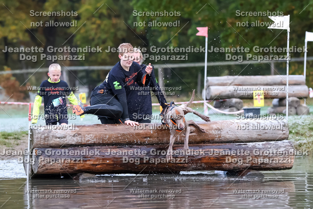 Dog Paparazzi - Strongdog 10-25-6135 | Dog Paparazzi Jeanette Grottendiek Fotografie & Videografie - Realisiert mit Pictrs.com