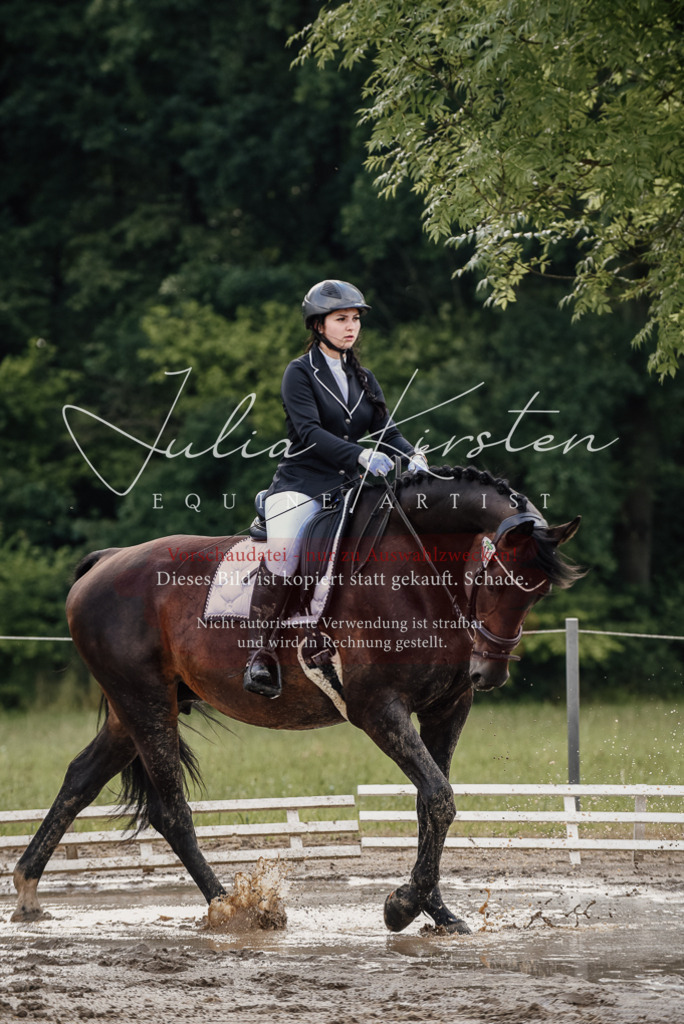 DSC_8566 | Pferde- und Turnierfotografie in Westsachsen. Pferdeportraits, Auftragszeichnungen und intuitive Kunst.