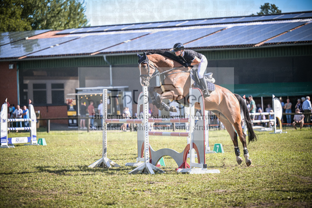 DOS_1136 | Entdecke hochwertige Reitturnierfotos von Foto Oger. Professionell, emotional und authentisch – jetzt Lieblingsmomente im Shop bestellen.Deutschlandweite Turnierfotografie. - Realisiert mit Pictrs.com
