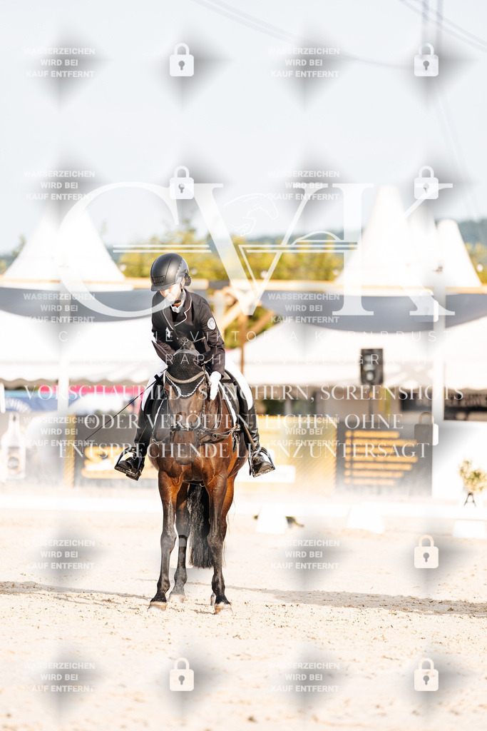 CK903869 | Turnierfotografie Pferdefotografie Trier Rheinland-Pfalz Pferdesport Reitsport Tierfotografie Sportfotografie Pferdevideo Pferdevideografie Equestrianvideography equestrianphotography  - Realisiert mit Pictrs.com
