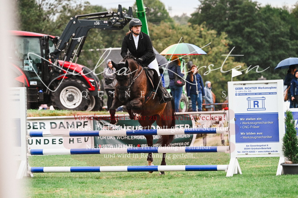 DSC_6452 | Pferde- und Turnierfotografie in Westsachsen. Pferdeportraits, Auftragszeichnungen und intuitive Kunst.