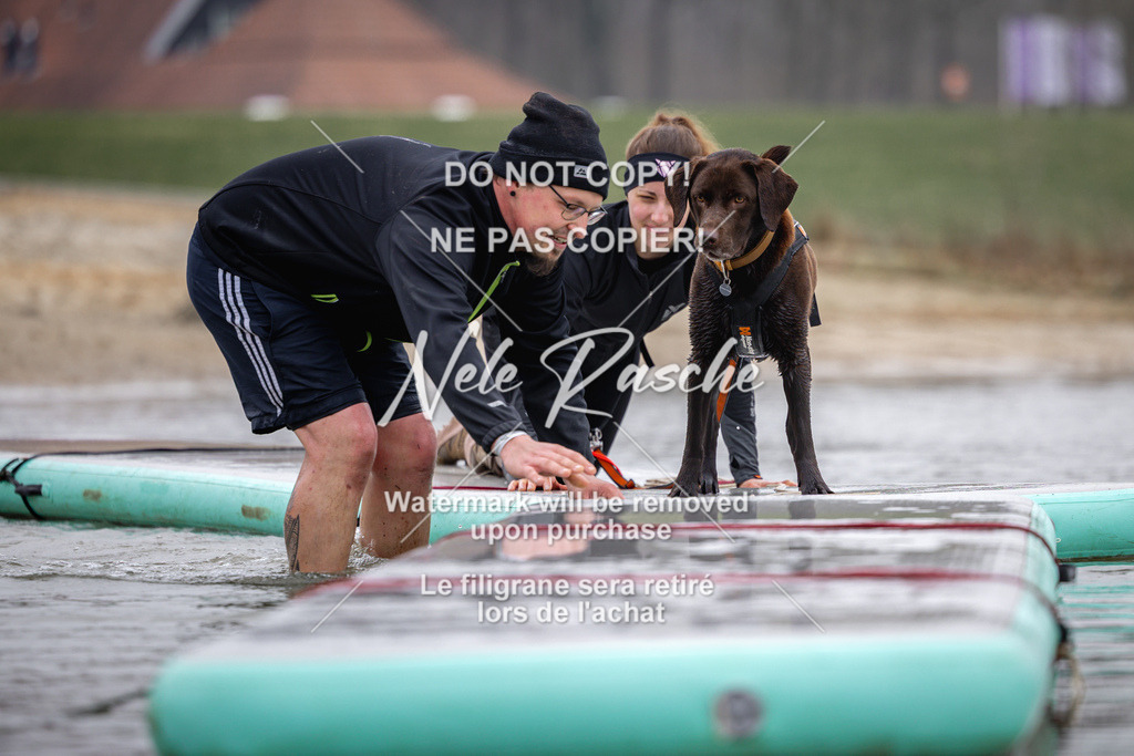 nelerasche_Hulsbeek_Sa1130-1230_343 | nelerasche