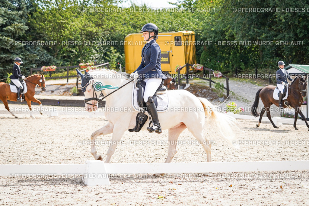 DSC02355 | Pferdegrafie