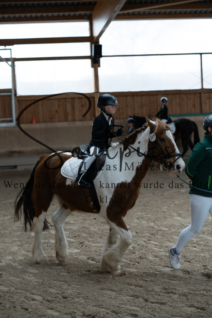 A7V09852 | Pferdefotograf