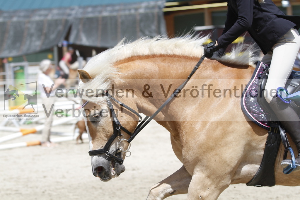 _MG_6640 | equestrian-live-com