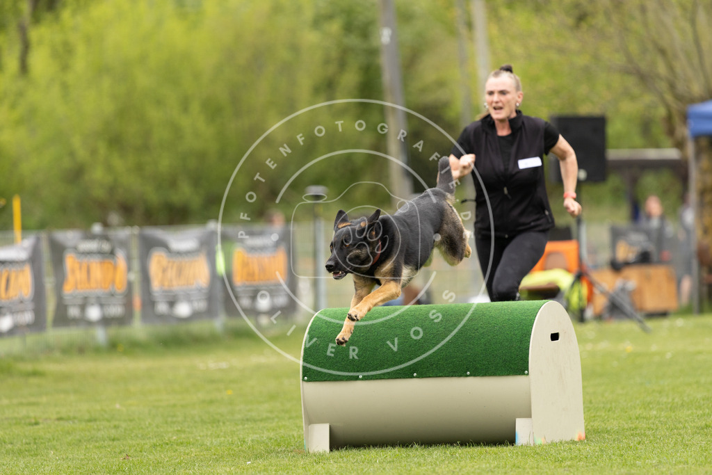 Pfotenfotografie_DV3A8962 | Hundefotografie, Tierfotograf, Pfotenfotografie, Fotoshooting Hund, Hunde Portrait, Hundesport, Hundeportraits, Heideshooting, Hunde, Sportfotograf, Hundefotograf, Turnierhundsport, THS,  - Realisiert mit Pictrs.com