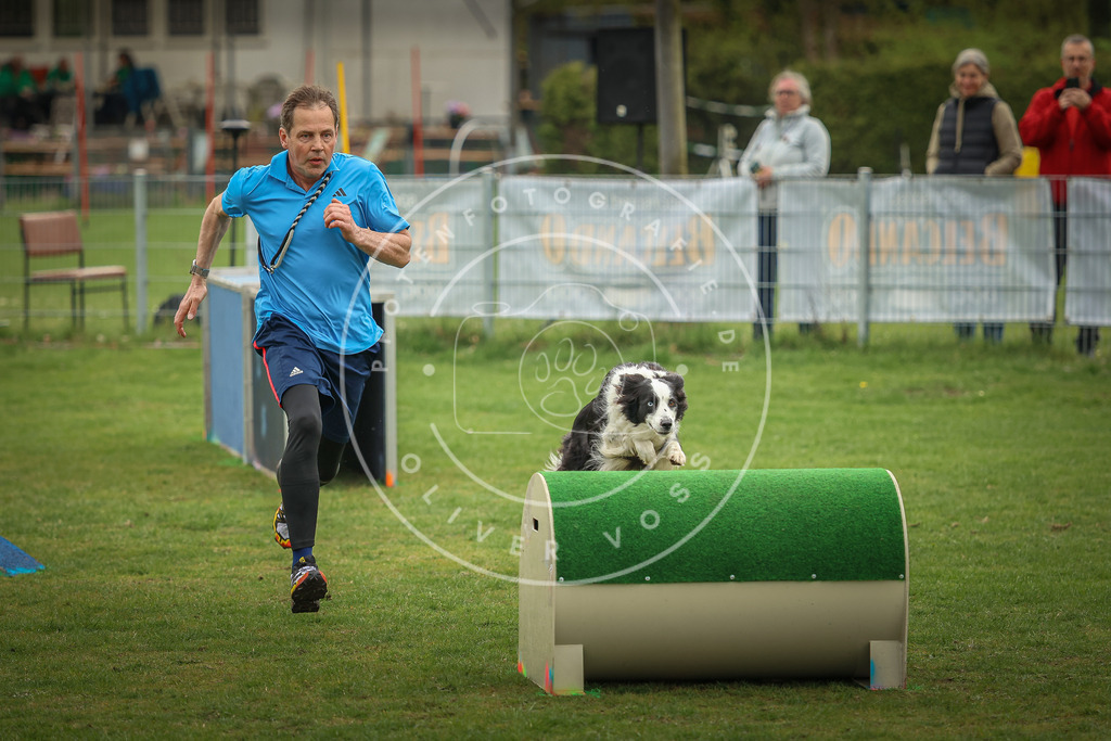 Pfotenfotografie_0L8A1181 | Hundefotografie, Tierfotograf, Pfotenfotografie, Fotoshooting Hund, Hunde Portrait, Hundesport, Hundeportraits, Heideshooting, Hunde, Sportfotograf, Hundefotograf, Turnierhundsport, THS,  - Realisiert mit Pictrs.com