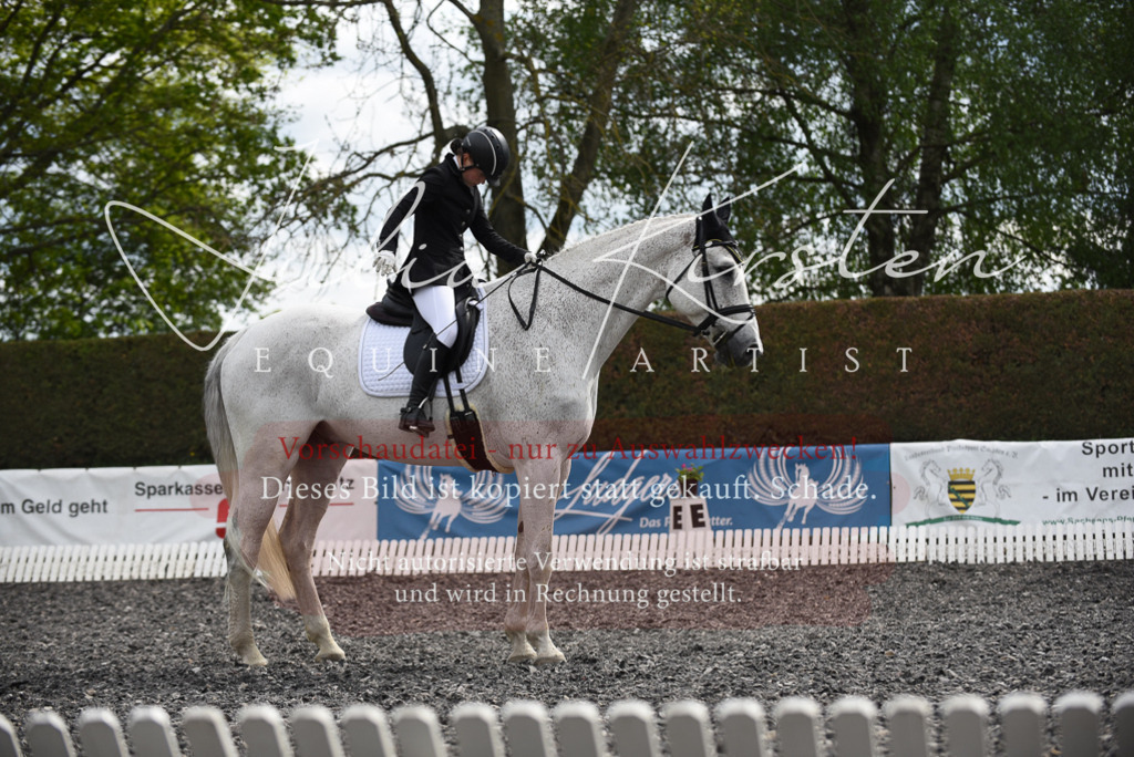 20230513_JK-Röhrsdorf-16-326 | Pferde- und Turnierfotografie in Westsachsen. Pferdeportraits, Auftragszeichnungen und intuitive Kunst.
