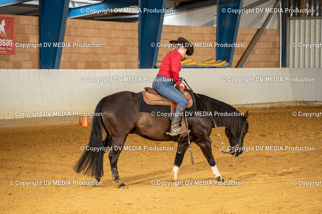 MIT01128 | dv-media-shop - Realisiert mit Pictrs.com