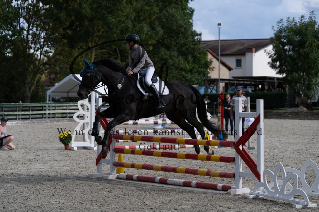 A7V07667 | Pferdefotograf