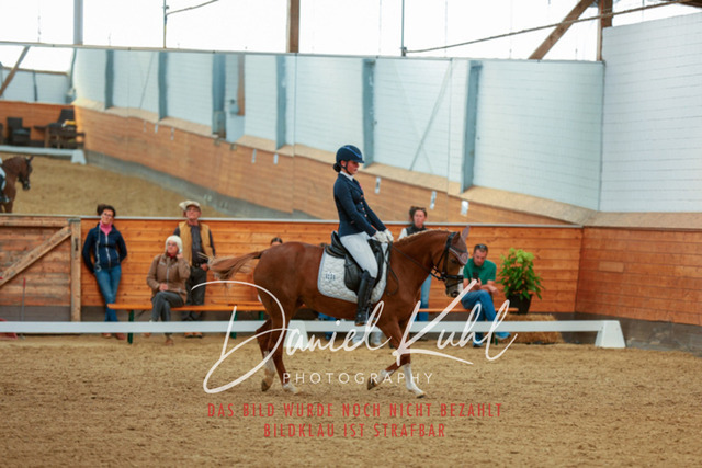 _62_5647 | Turniersportfotografie; Pferdefotografie; Dressurfotografie