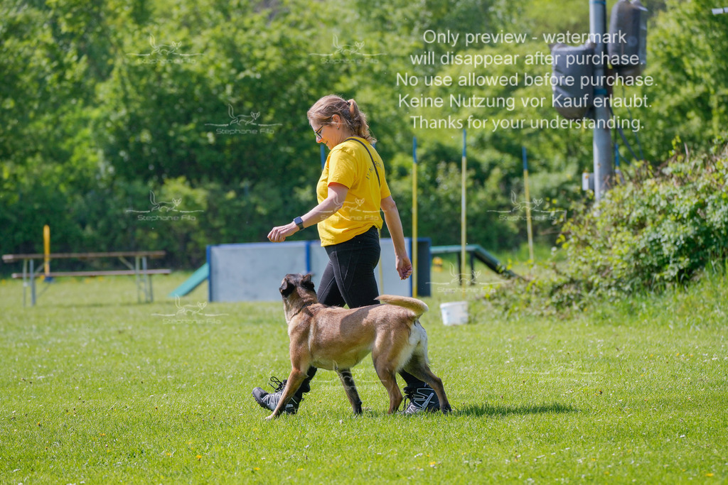 Sa_Gehorsam_02-2 | stephaniefillaphotographie - Realisiert mit Pictrs.com