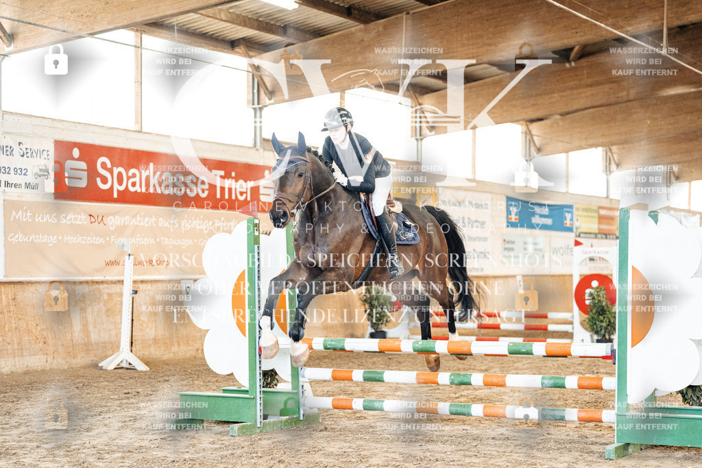 CK903828 | Turnierfotografie Pferdefotografie Trier Rheinland-Pfalz Pferdesport Reitsport Tierfotografie Sportfotografie Pferdevideo Pferdevideografie Equestrianvideography equestrianphotography  - Realized with Pictrs.com