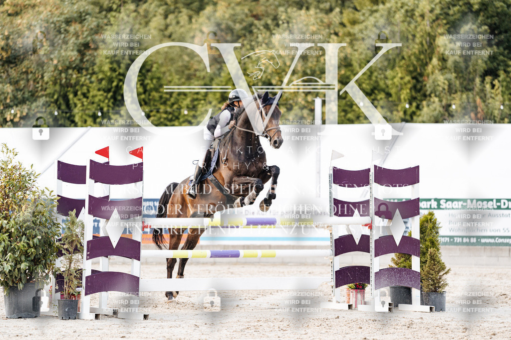CK903979 | Turnierfotografie Pferdefotografie Trier Rheinland-Pfalz Pferdesport Reitsport Tierfotografie Sportfotografie Pferdevideo Pferdevideografie Equestrianvideography equestrianphotography  - Realisiert mit Pictrs.com