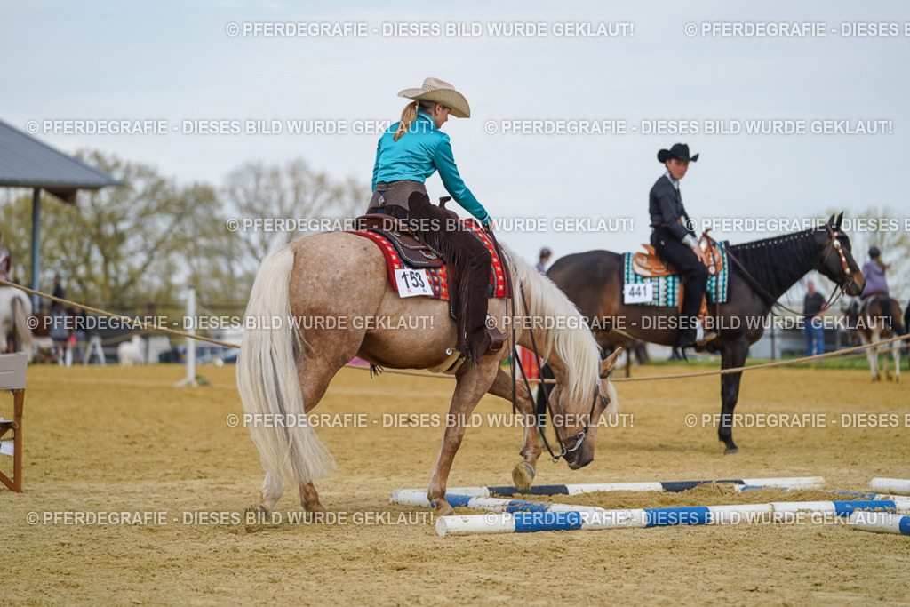 DSC05354 | Pferdegrafie