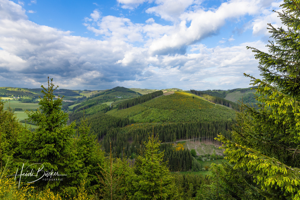 Westfeld und Umgebung 030 | Bilder und Impressionen zu jeder Jahreszeit aus dem Sauerland im Naturpark Sauerland-Rothaargebirge - Realisiert mit Pictrs.com