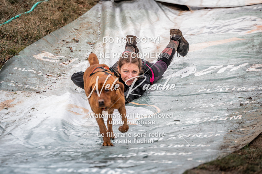 nelerasche_1430-1500_154 | nelerasche