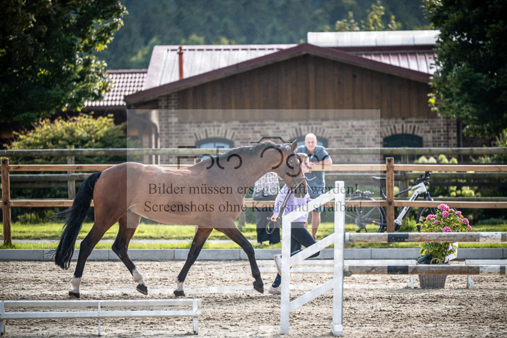 DOS_2524 | Entdecke hochwertige Reitturnierfotos von Foto Oger. Professionell, emotional und authentisch – jetzt Lieblingsmomente im Shop bestellen.Deutschlandweite Turnierfotografie. - Realisiert mit Pictrs.com