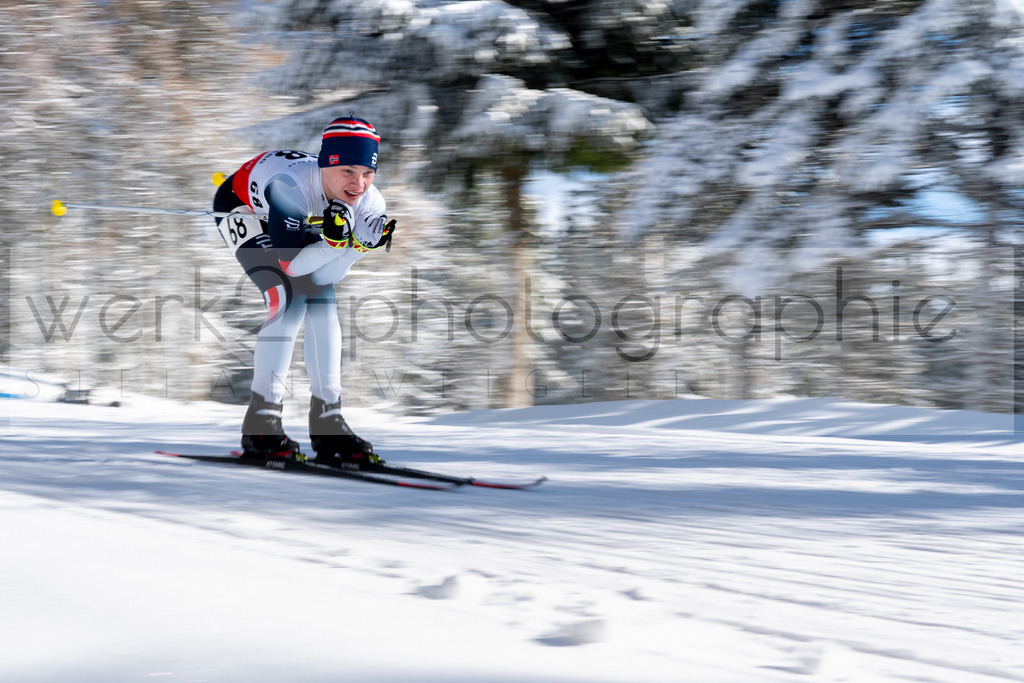 DSC Altenberg | Deutscher Schülercup in Altenberg vom 11. bis zum 13. Februar 2022