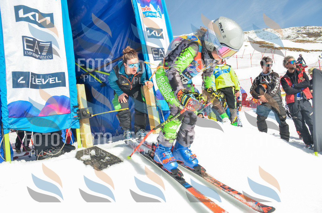 _ELE5614 | holidayphoto