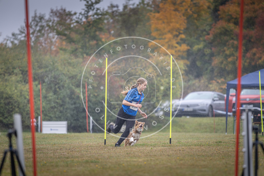 Pfotenfotografie_DV3A0034 | Hundefotografie, Tierfotograf, Pfotenfotografie, Fotoshooting Hund, Hunde Portrait, Hundesport, Hundeportraits, Heideshooting, Hunde, Sportfotograf, Hundefotograf, Turnierhundsport, THS,  - Realisiert mit Pictrs.com