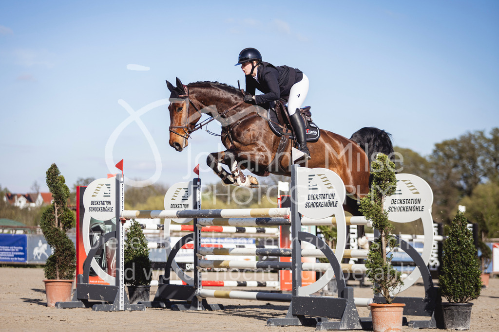 250418_Frühlingsfest_Stil-M-726 | Deine schönsten Turniermomente als professionelle Fotos! Entdecke hochwertige Pferdesport-Fotografie im Online-Shop. Jetzt Fotos finden & bestellen!