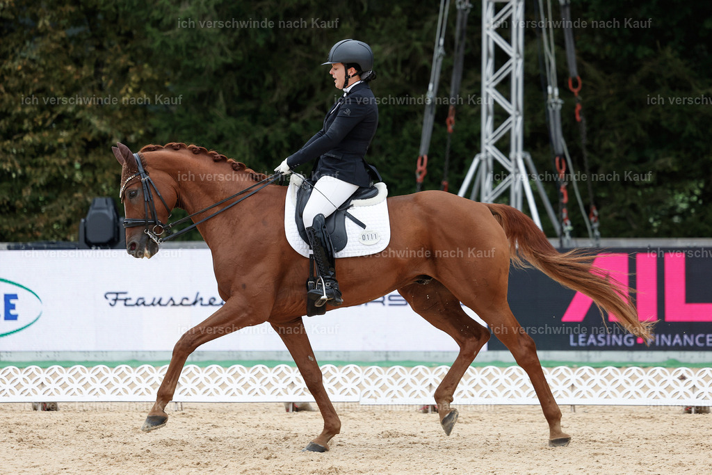 3-111-Dressur M_-StoibPH-2311 | working equitationturnier fotograf videograf stoibphotography marixx film working equitation deutschland reitsport turnierfotografie eventfotografie equestrian events