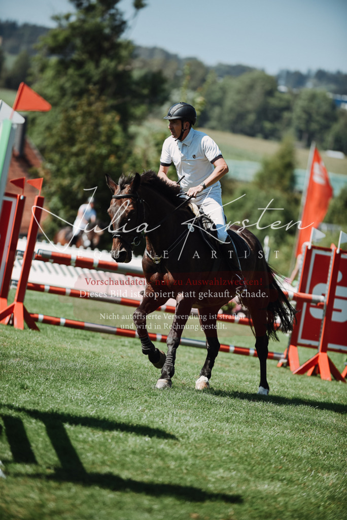 DSC_3044 | Pferde- und Turnierfotografie in Westsachsen. Pferdeportraits, Auftragszeichnungen und intuitive Kunst.