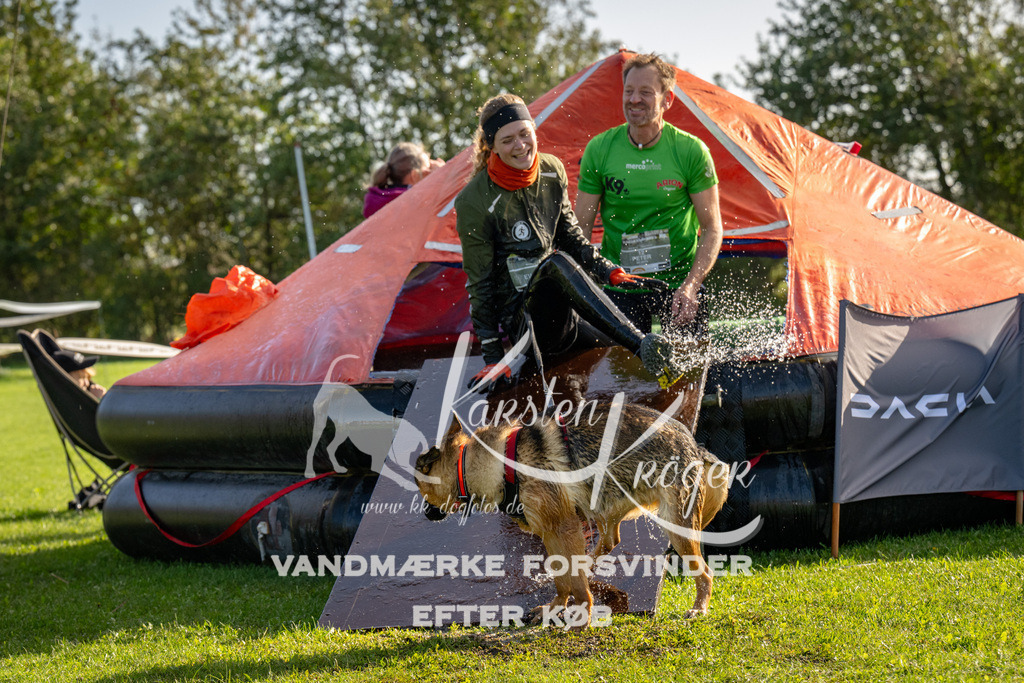 1115-91947 | kk-dogfotos