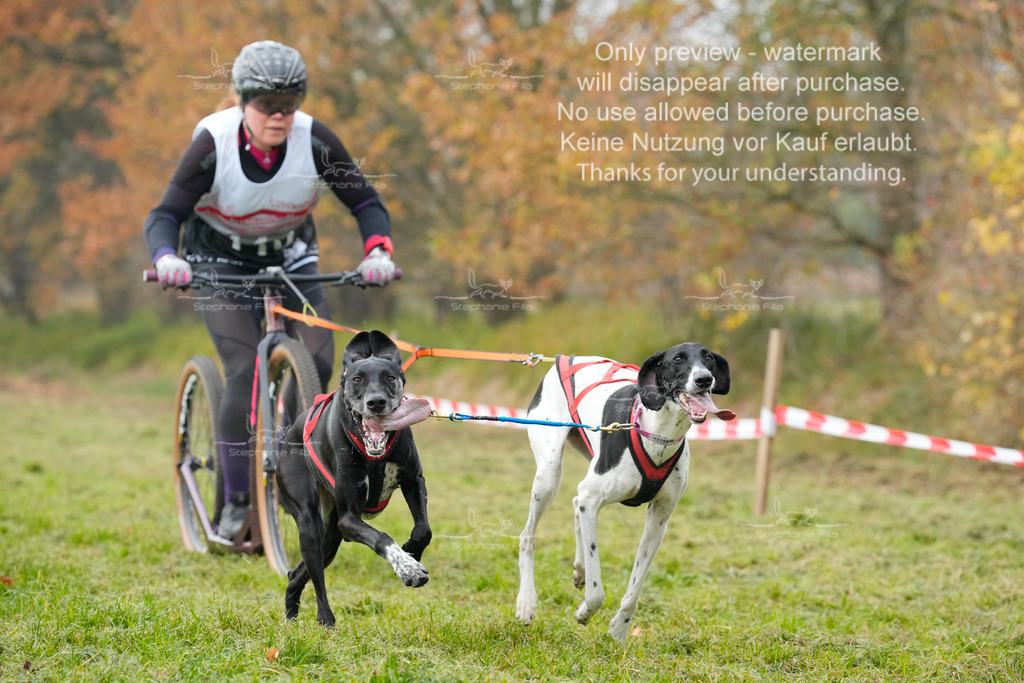 Visbeck_Sa_DS2DR2-86 | stephaniefillaphotographie - Realisiert mit Pictrs.com