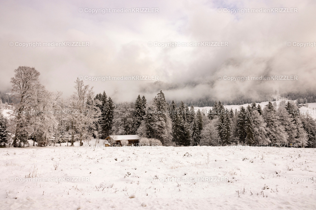 _J3A9933 | medienkrizzler - Realisiert mit Pictrs.com