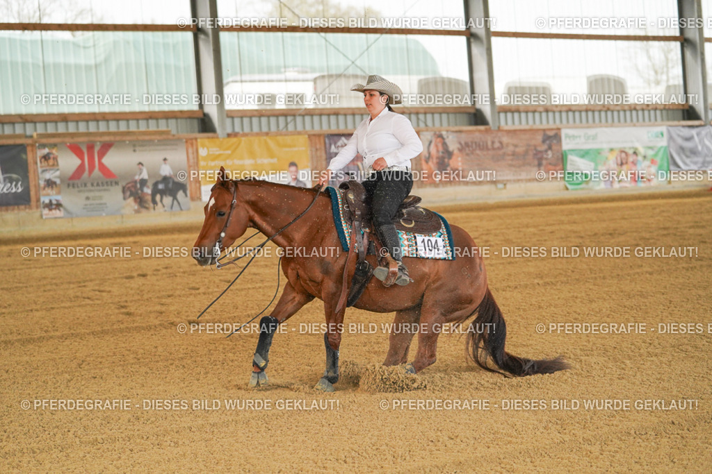 DSC07912 | Pferdegrafie