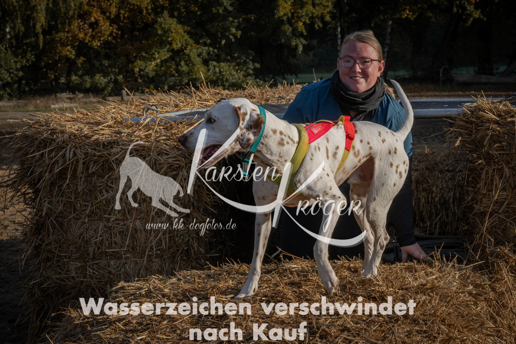 0947_ZZ94806 | kk-dogfotos