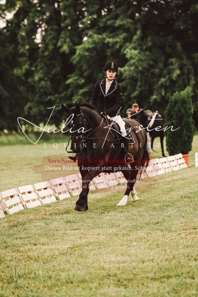 DSC_4992 | Pferde- und Turnierfotografie in Westsachsen. Pferdeportraits, Auftragszeichnungen und intuitive Kunst.