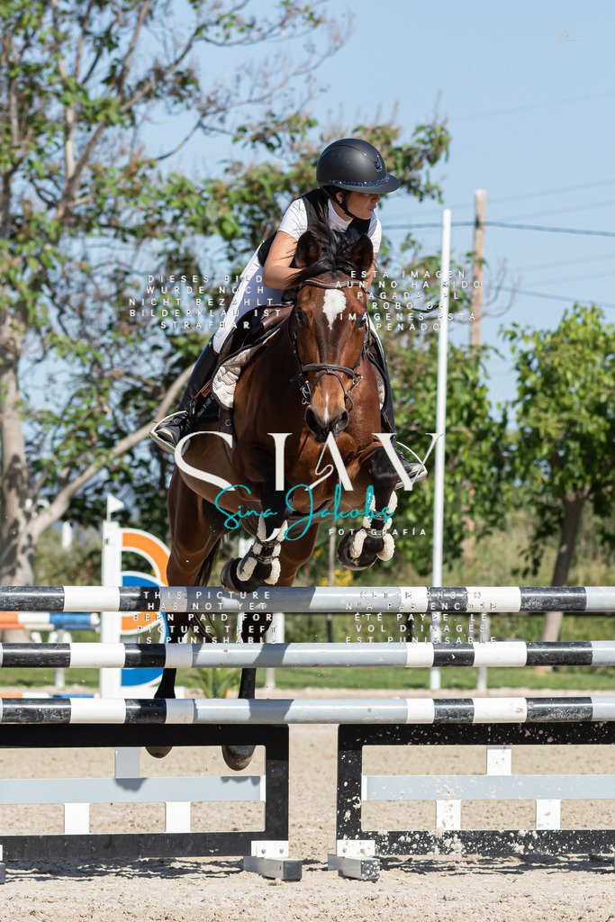 IMG_0949 | s-jay-photography - Realisiert mit Pictrs.com